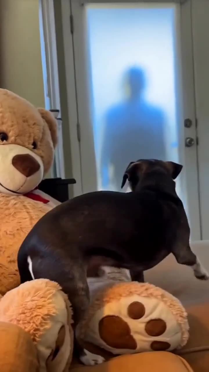 Still from Lily & The Bear — family fantasy